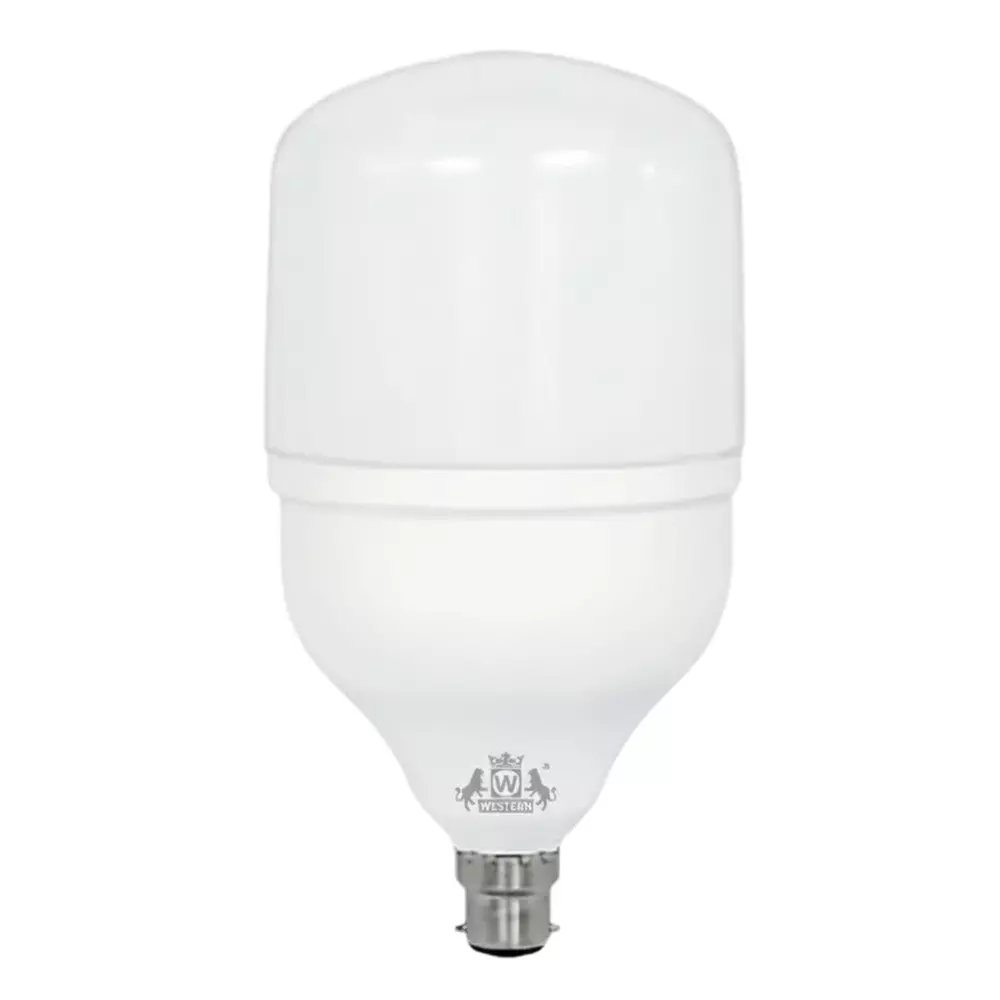 WESTERN Eco Led Bulb 30 W Natural White ECO30W