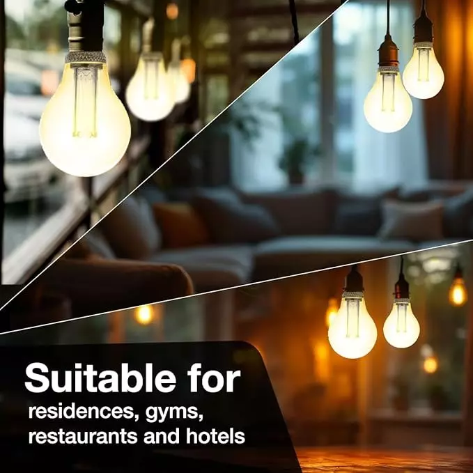 Havells 2 W Orion A60 LED Lamp Smoke E27 Base Cap and 2800 K, LHLDBNHA6B8R002