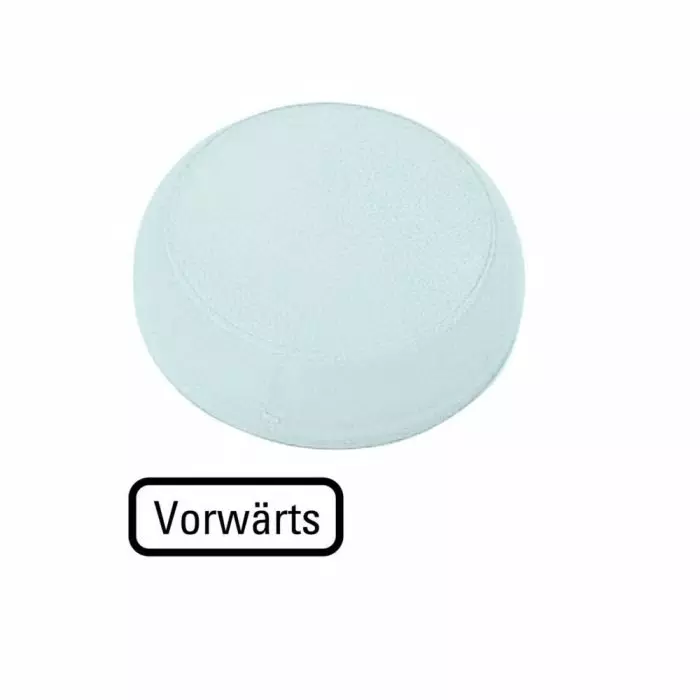 EATON White Indicator M22 Series, 218408 M22-XL-W-D15