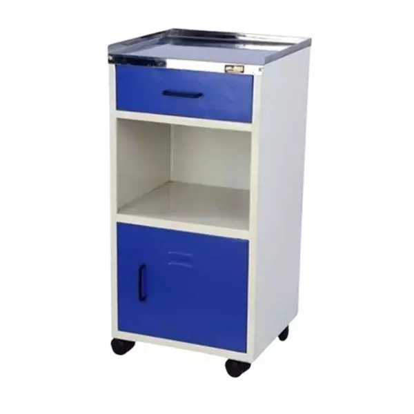 Meditech Clinical Cabinet 400 mm (15.7 inch) Overall Depth Range Mild Steel Fitted With Telescopic Channel, MHC/WA-073