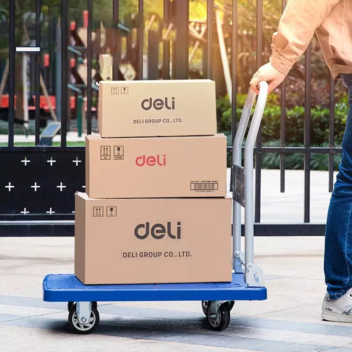 DELI Flat Cart Trolley 66x40 cm, 100 Kg Load Capacity, DL6110