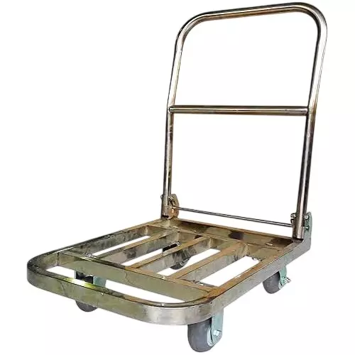 BIGAPPLE Platform Trolley 400 Kg Capacity 120x66 cm Silver with Wheels, TRL SPH SS-SQT 400