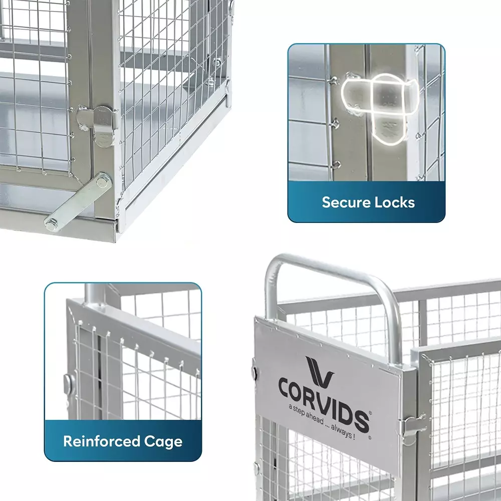 corvids-platform-trolley-6-inch-1524-mm-caster-wheel-diameter-and-200-kg-load-capacity