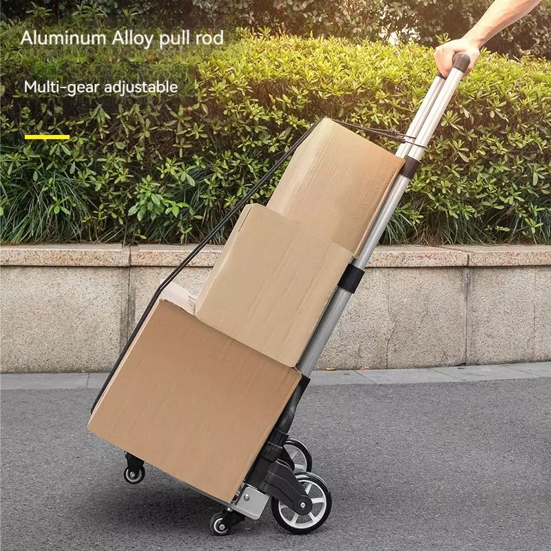 DELI Trolley Cart 645x400x70 mm, 70 Kg Load Capacity, DL431070