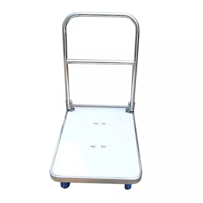 BIGAPPLE Platform Trolley 500 Kg Capacity 120x66 cm Silver & Blue with Wheels, TRL SPH SS -PF 500