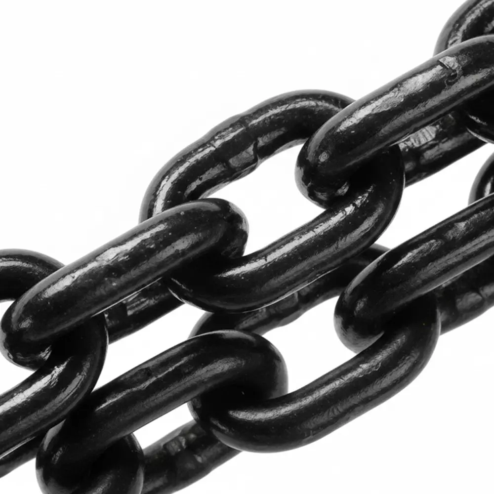 Globe Heavy Duty Load Chain 6 m Length 8 mm Diameter for All Chain Pulley Block, AM-CP-2021280-C1