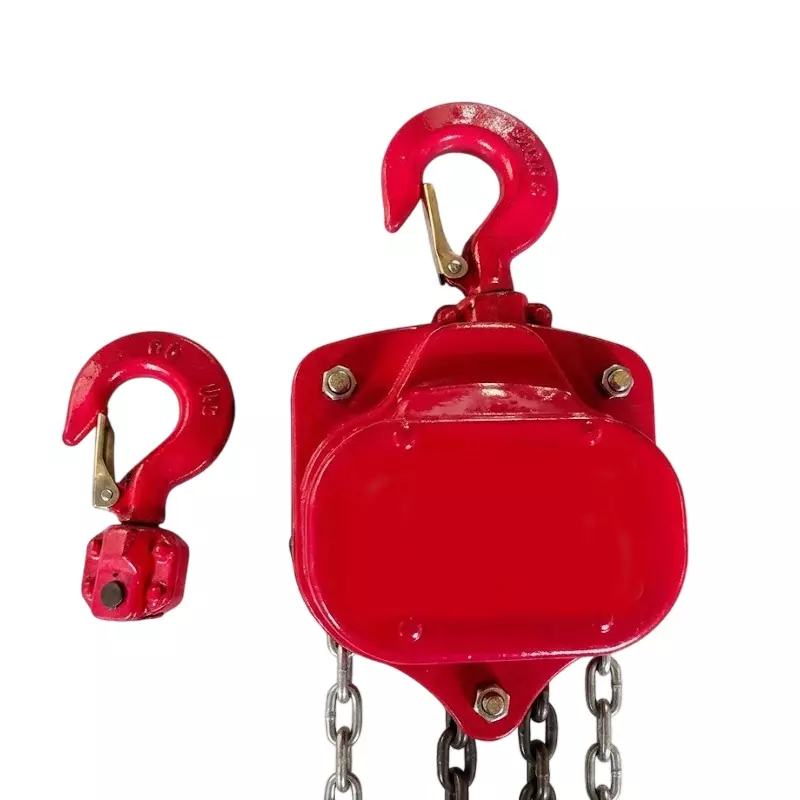 BWI VT Series Chain Block 3 m Length and 2 Ton Capacity