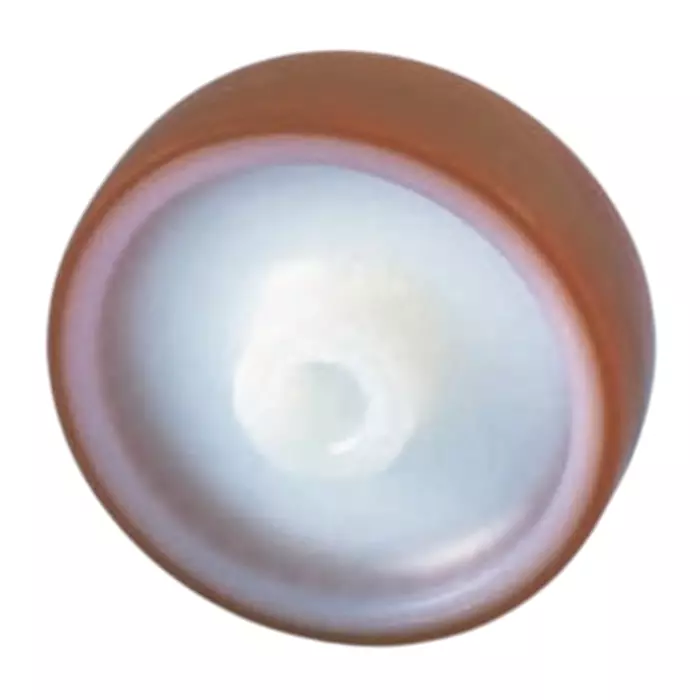 LAG Brown, White Polyurethane Hygienic, Low Rolling Resistance, Non-Marking Trolley Wheel, 550 Kg, 9054