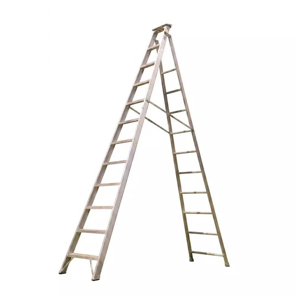 EMAC 12 Steps Dual Purpose Ladder Aluminium Body Silver Color Anti Slip, Lightweight and Foldable Design, EDPL-12