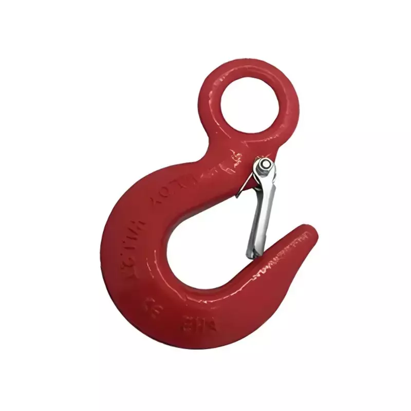 GENERIC Eye Hook with Latch Alloy Steel Red 1 Ton Load Capacity, AD-HT-20224152