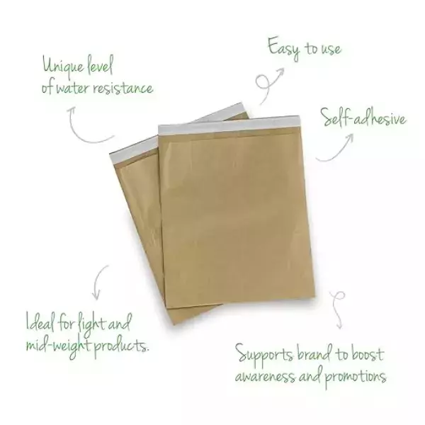 generic-paper-courier-bag-brown-80-gsm-8-x-10-inch-2032-x-2540-mm-pack-of-100
