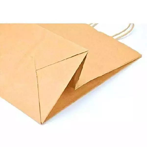 asn-kraft-recyclable-paper-bags-twisted-handle-type-100-gsm-5-kg-carrying-capacity-medium-12x12x5-inch-pack-of-100