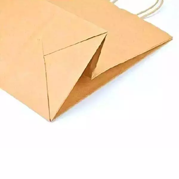 asn-kraft-recyclable-paper-bag-twisted-handle-120-gsm-8-kg-carrying-capacity-and-12x16x7-inch-3048-x-4064-x-1778-mm-large-size-pack-of-5000