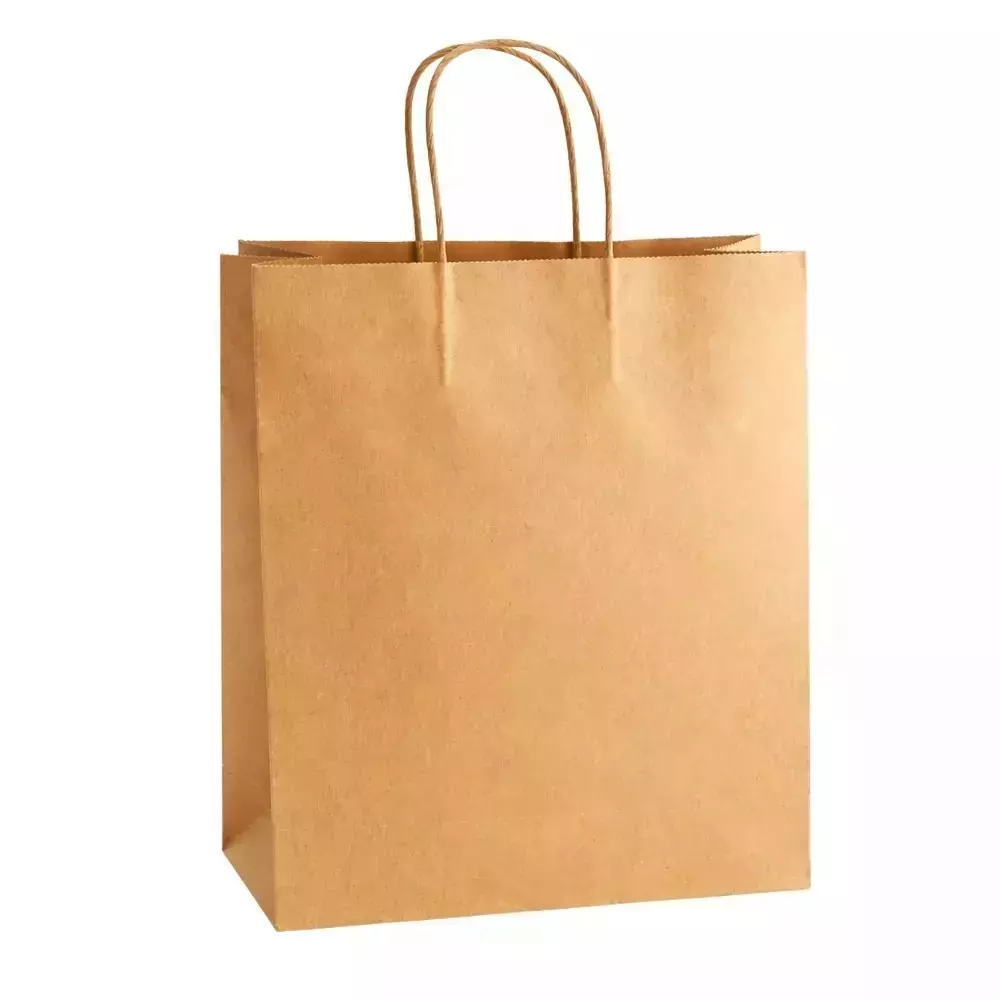 ASN Kraft Recyclable Paper Bag Twisted Handle 100 GSM 2.5 Kg Carrying Capacity and 10x8x4 inch (254 x 203.2 x 101.6 mm) Small Size (Pack of 5000)