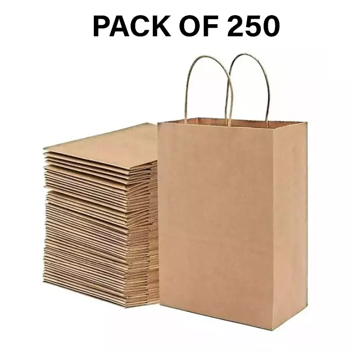 GENERIC Brown Paper Parcel Bag with Handle 120 GSM and 10 x 8 x 4 inch Size (Pack of 250)