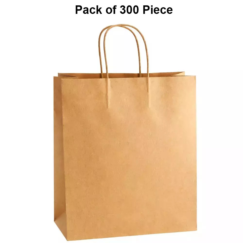 asn-kraft-recyclable-paper-bags-twisted-handle-type-100-gsm-5-kg-carrying-capacity-medium-12x12x5-inch-pack-of-300