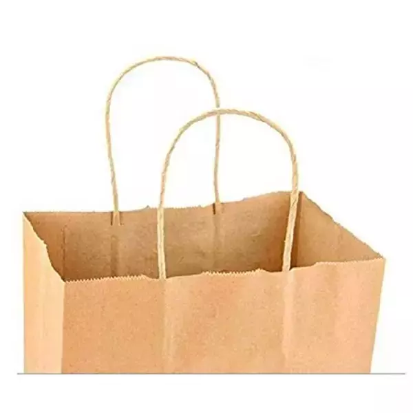 asn-kraft-recyclable-paper-bags-twisted-handle-type-100-gsm-5-kg-carrying-capacity-medium-12x12x5-inch-pack-of-300