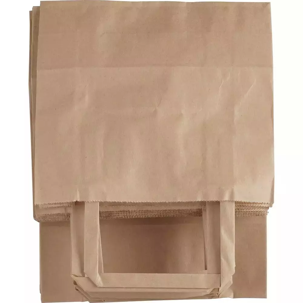 asn-kraft-recyclable-paper-bags-flat-handle-type-100-gsm-25-kg-carrying-capacity-small-10x8x4-inch-pack-of-150