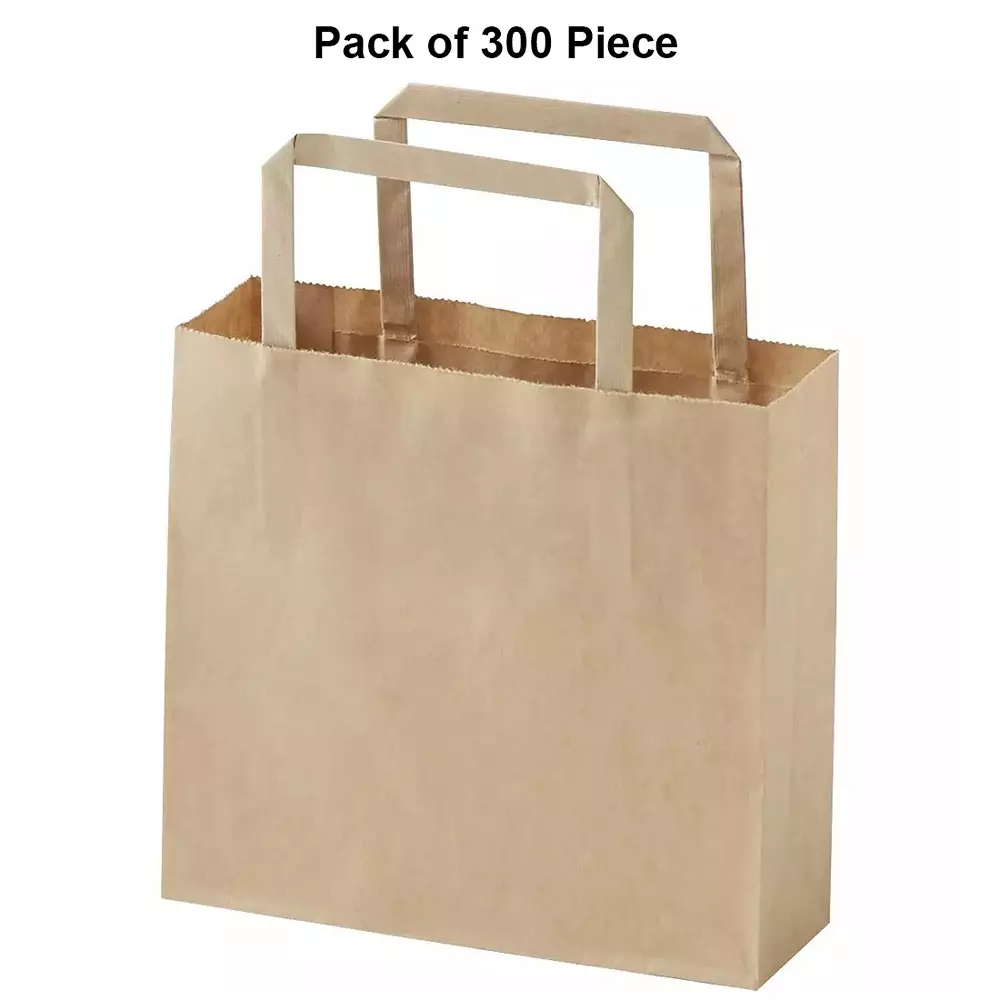 asn-kraft-recyclable-paper-bags-flat-handle-type-100-gsm-5-kg-carrying-capacity-medium-12x12x5-inch-pack-of-300