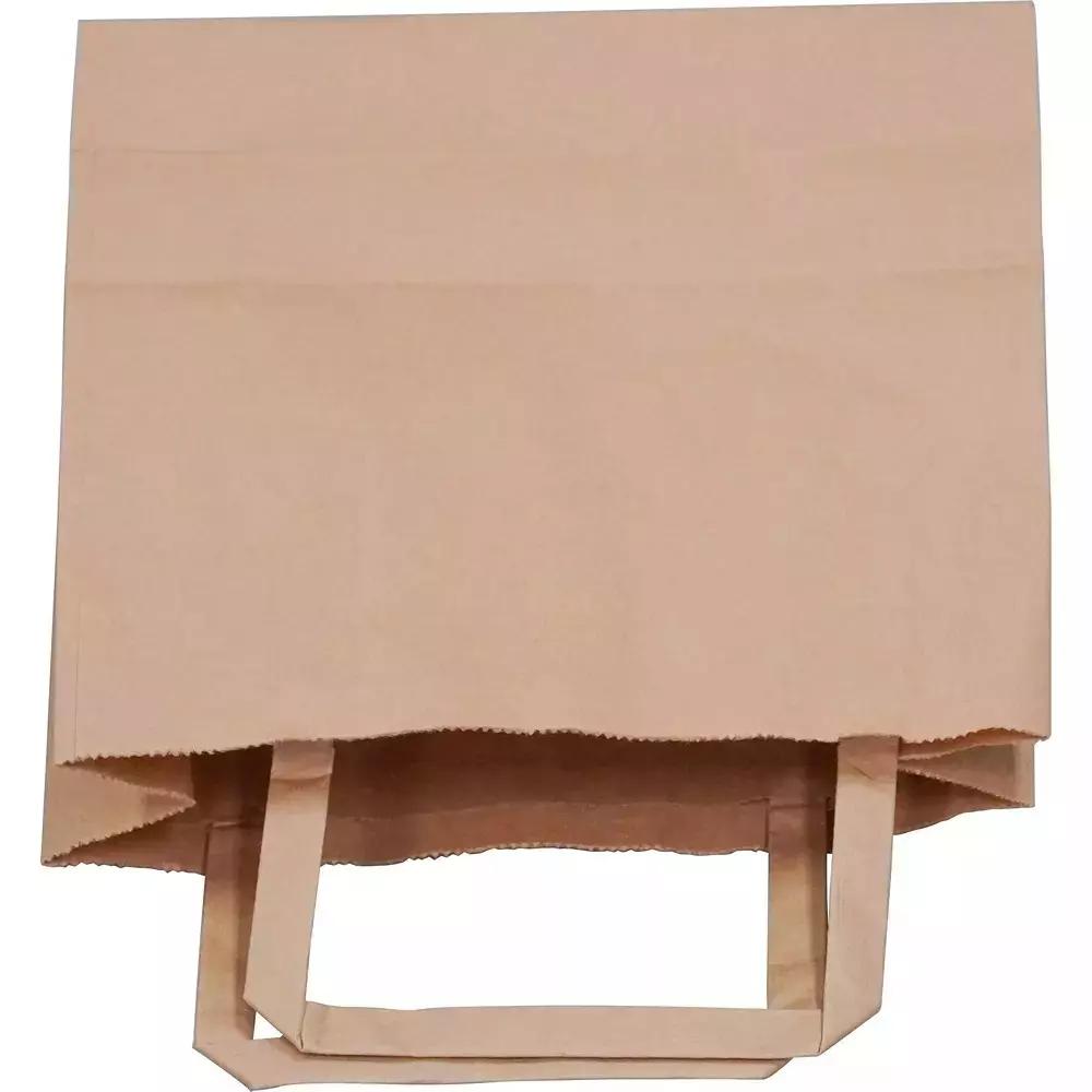 asn-kraft-recyclable-paper-bags-flat-handle-type-100-gsm-5-kg-carrying-capacity-medium-12x12x5-inch-pack-of-300