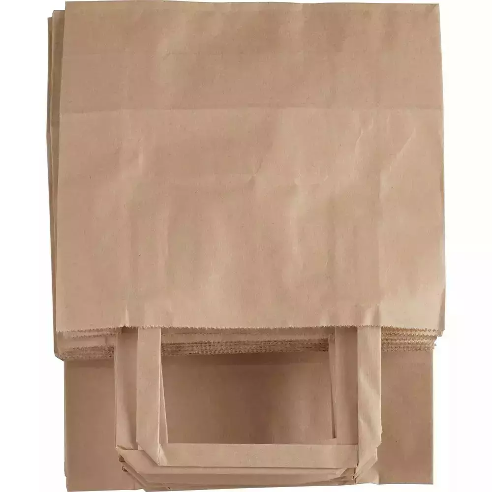 asn-kraft-recyclable-paper-bag-flat-handle-100-gsm-25-kg-carrying-capacity-and-10x8x4-inch-254-x-2032-x-1016-mm-small-size-pack-of-3000