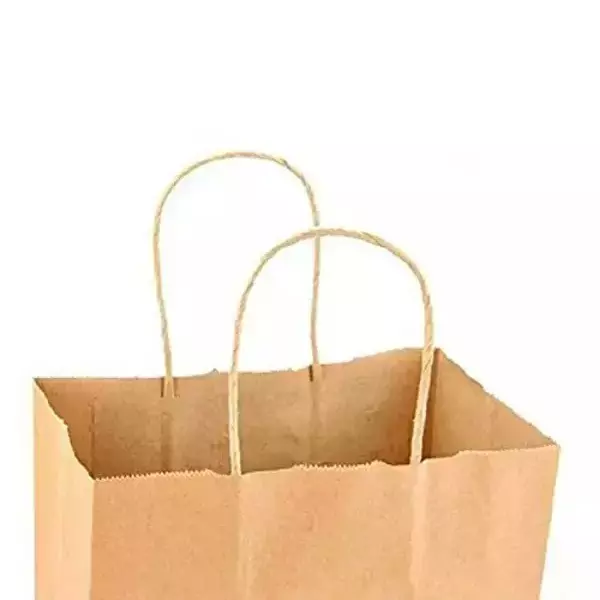 asn-kraft-recyclable-paper-bag-twisted-handle-120-gsm-8-kg-carrying-capacity-and-12x16x7-inch-3048-x-4064-x-1778-mm-large-size-pack-of-3000