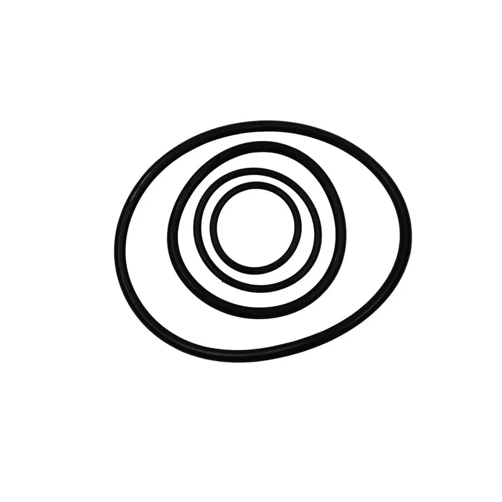 smart-pack-o-ring-medium-for-high-speed-batch-coding-machine-spare-parts