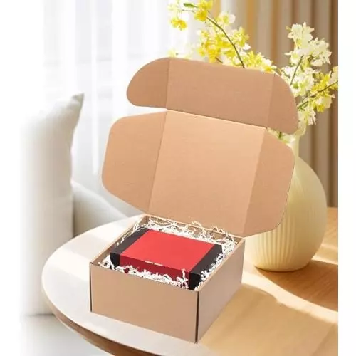 mm-will-care-self-lock-corrugated-box-3-ply-brown-25-x-2-x-15-inch-size-pack-of-100