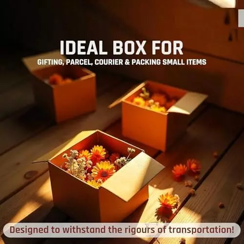 mm-will-care-corrugated-box-3-ply-brown-8x6x6-inch-pack-of-100
