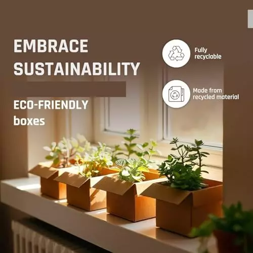 mm-will-care-corrugated-box-3-ply-brown-8x6x6-inch-pack-of-100