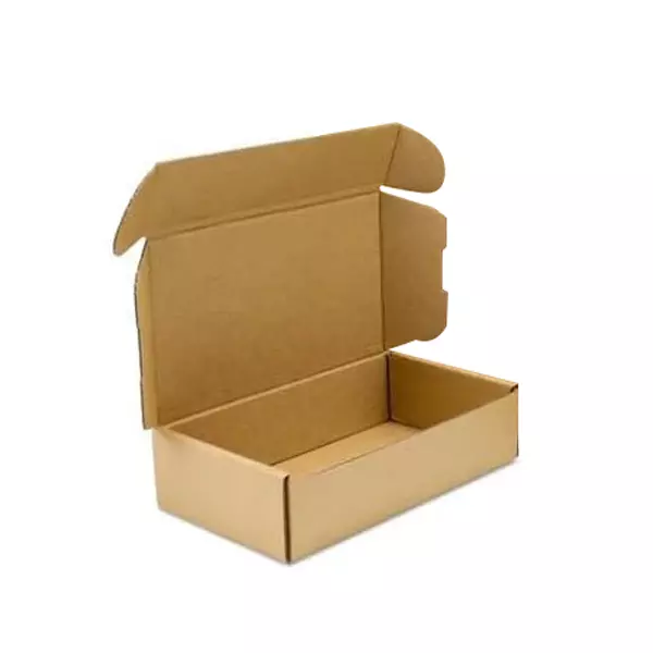 MM WILL CARE Flap Corrugated Packaging Box Brown 3 Ply 9 x 6 x 2 inch Size (Pack of 100)