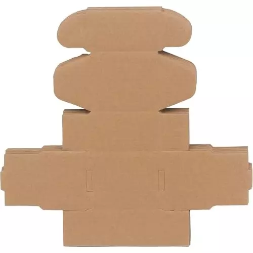 MM WILL CARE Self Lock Corrugated Box 3 Ply Brown 2.5 x 2 x 1.5 inch (Pack of 25)