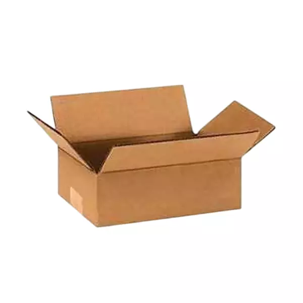 Elisha 3 Ply Corrugated Box Brown 13.25 x 10x 3 inch (Pack of 6)