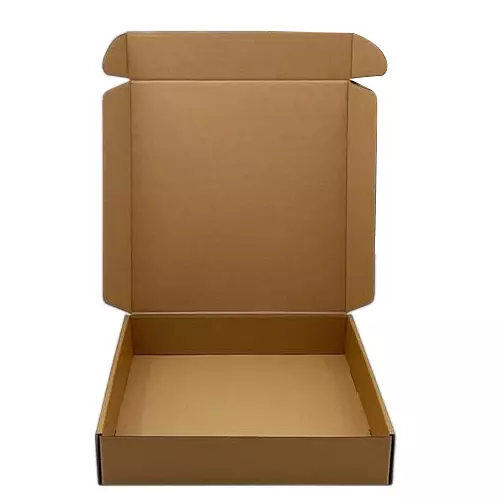 MM WILL CARE Self Lock Corrugated Box 3 Ply Brown 9.5 x 9.5 x 1 inch (Pack of 200)