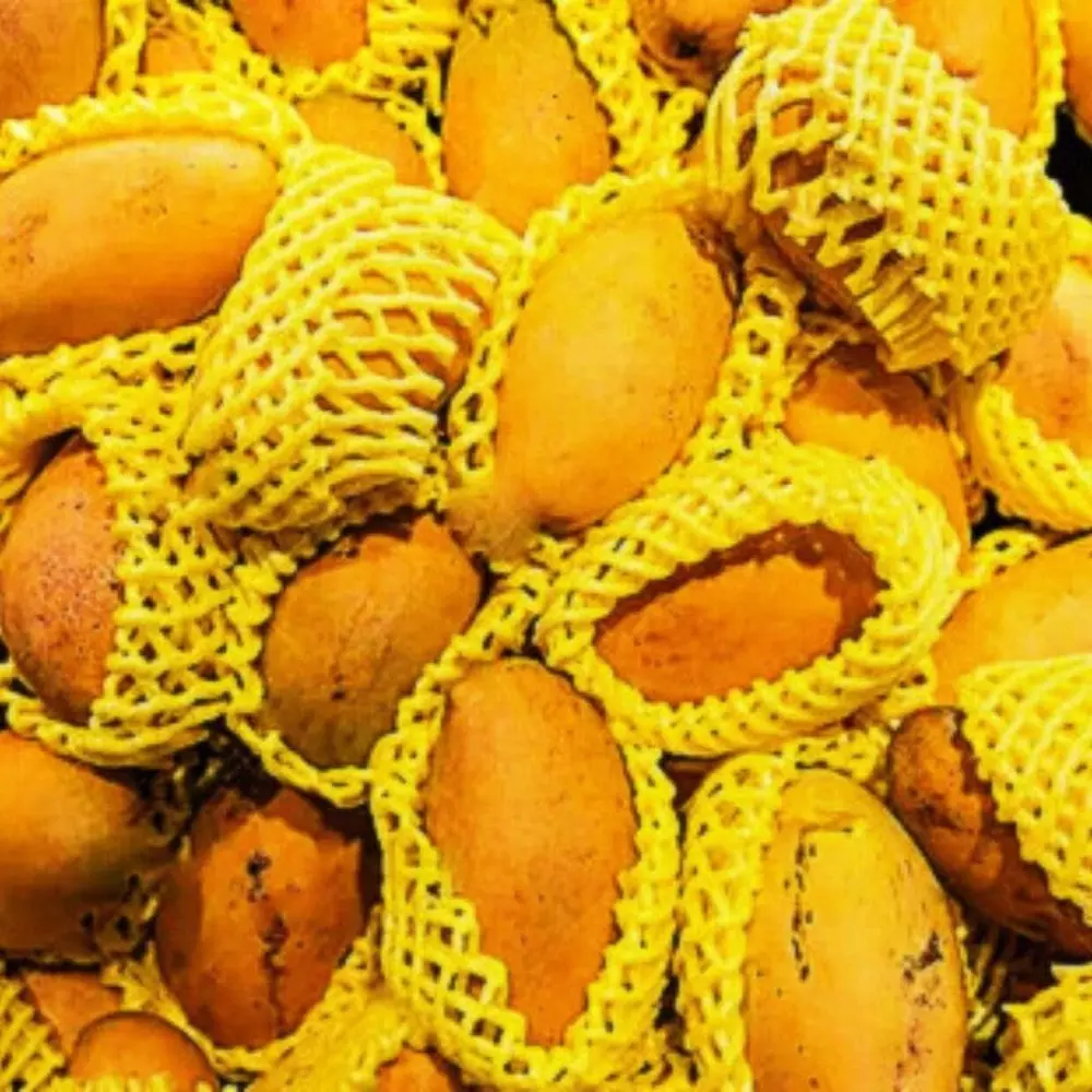 generic-fruit-foam-net-made-of-hdpe-yellow-color-35-m-length-and-size-50-mm-for-wrapping-and-protecting-apples-pears-more