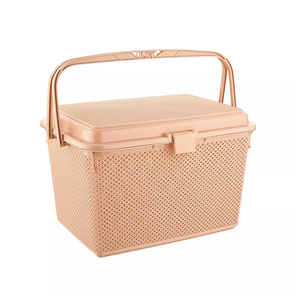 ARISTO Multipurpose Basket 25 L Capacity Plastic Material Beige Color, COMET 444