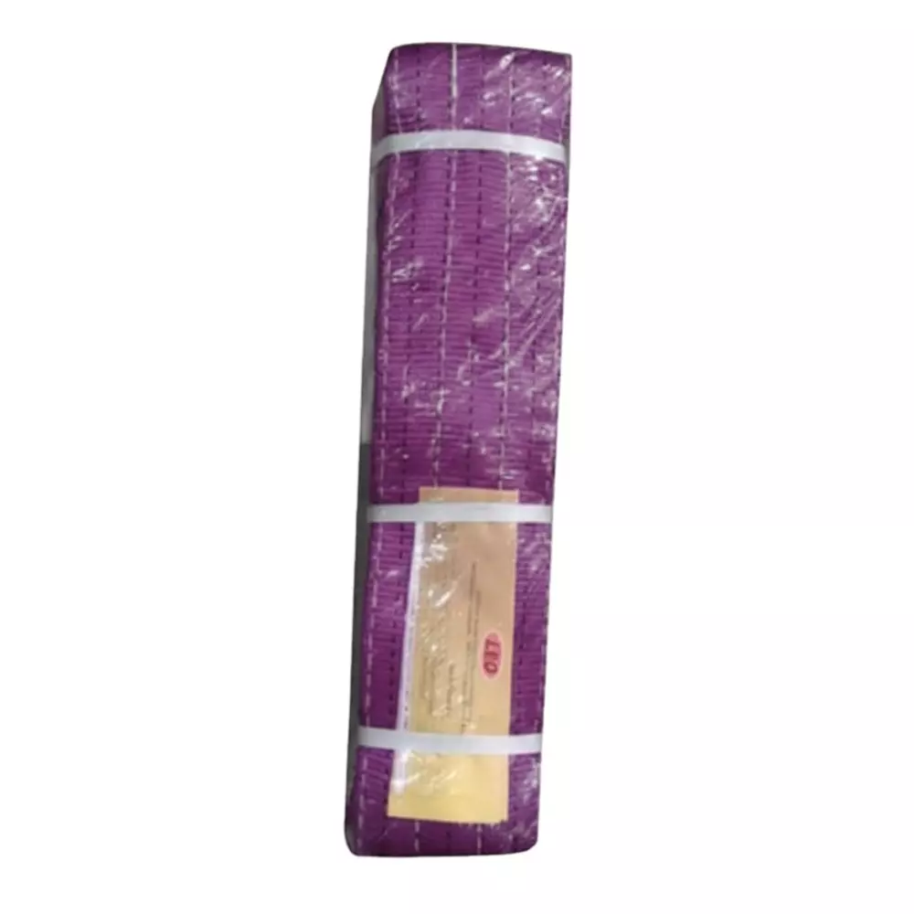 LEO Webbing Slings Violet 25 mm Width, 2 m Length & 1 Ton Capacity
