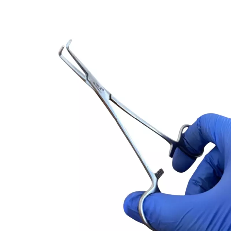 LIFEX Right Angled Forceps Stainless Steel 25.4 cm (10 inch), VSSD214F10"