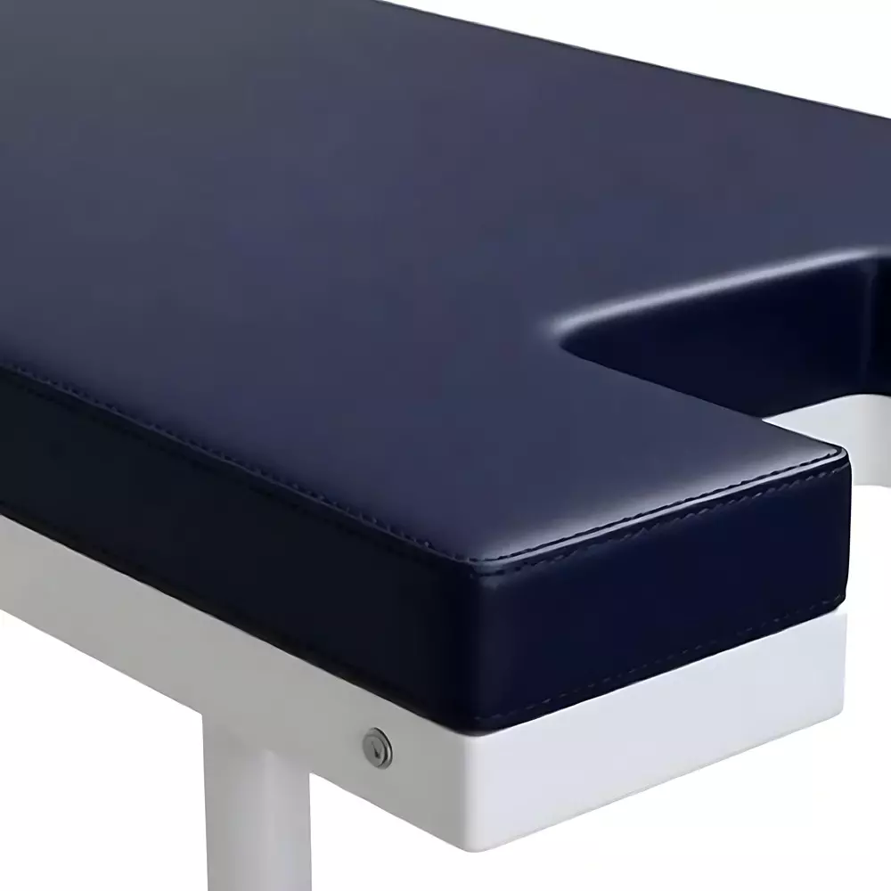mahabir-furniture-examination-table-with-mattress-leg-raise-support-iron-body-and-adjustable-back-rest-for-hospitals-clinics