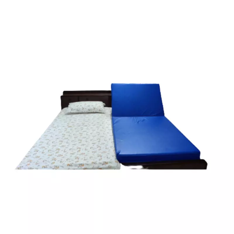 Healthy Jeena Sikho Motorised Recliner Bed with Mattress 69x84x13 cm for Clinic and Hospital