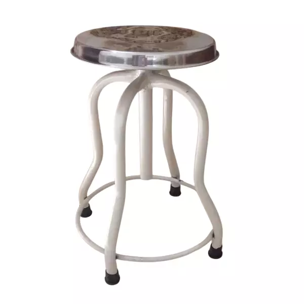 GENERIC Mild Steel Revolving Stool with Stainless Steel Top White and Silver Color in Powder Coated Finish, ASU1206