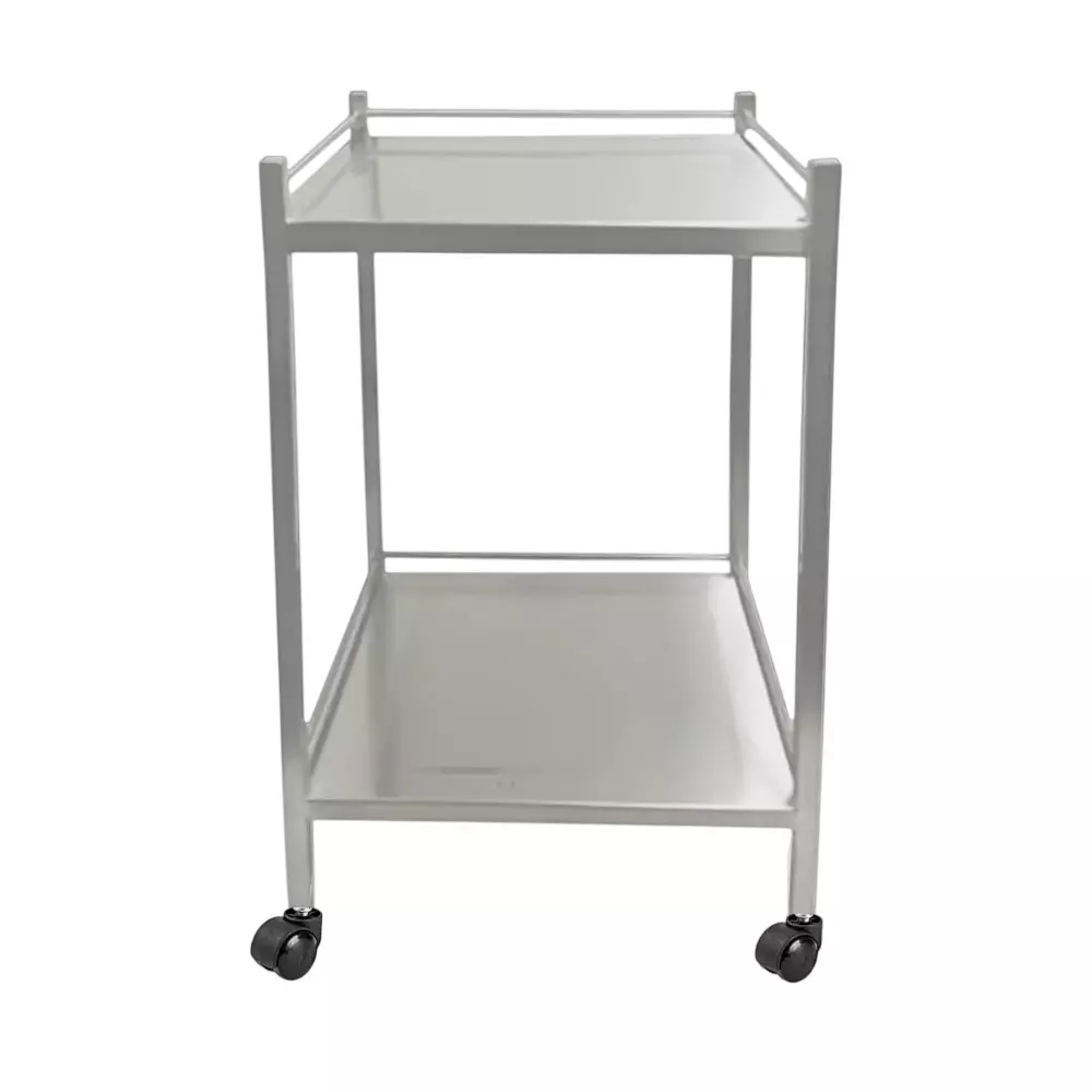 BIGAPPLE Medical Instrument Trolley Stainless Steel 2-Tier 86x60x40 cm Overall Size without Bin and Drawer