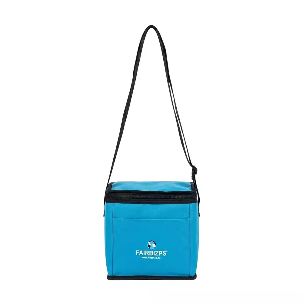 FAIRBIZPS 6 Can Insulated Cooler Bag with 2 Ice Gel Packs (500 ml Capacity Each), FSCB14426