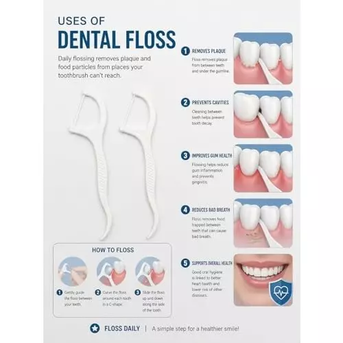 fairbizps-3-in-1-dental-floss-picks-toothpicks-set-plastic-white-for-fresh-breath-healthy-gums-fsdf4426-pack-of-50
