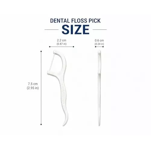 fairbizps-3-in-1-dental-floss-picks-toothpicks-set-plastic-white-for-fresh-breath-healthy-gums-fsdf4426-pack-of-50
