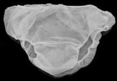 Medizone Large Disposable Panty