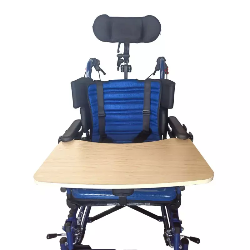 Karma Healthcare Cerebral Palsy Wheelchair 46 cm (460 mm) Seat Width 100 Kg Load Capacity Adjustable Armrest, CP 300 Adult