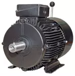 Bharat Bijlee MOTOR 3.7KW MA11M435