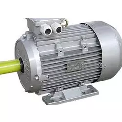 CG Power Three Phase 150 HP 6 Pole Foot Mounted IE2 Cast Iron Body Induction Motor