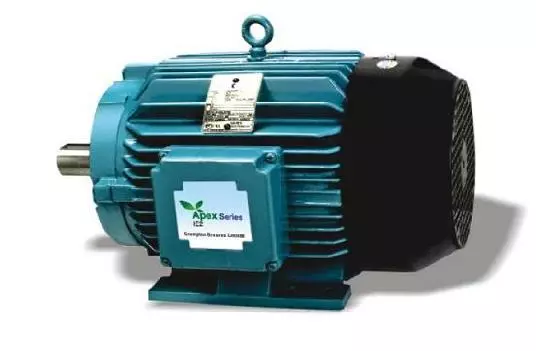 CG Power Three Phase 20 HP 2 Pole Foot Mounted IE2 Cast Iron Body Induction Motor